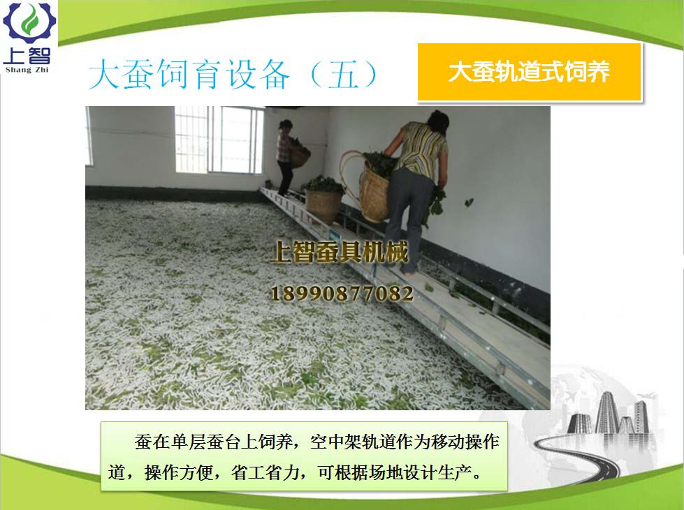 151356384129602333.jpg 216.jpg