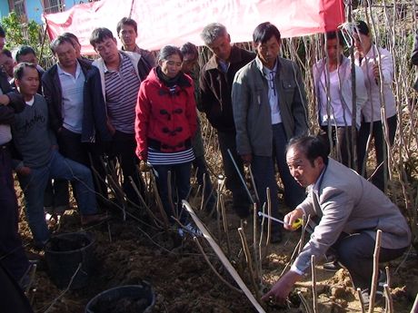 151494230665490236.jpg timg.jpg