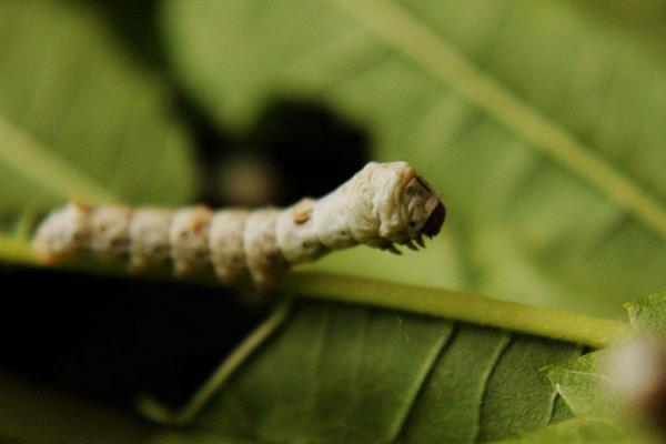 151658774557718484.jpg 25152857255.jpg