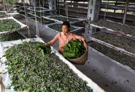 151943304588674936.jpg u=3780318533,3444018690&fm=27&gp=0.jpg