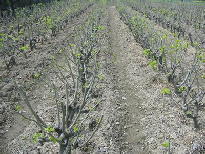 151943349997063317.jpg u=1192426409,596034633&fm=27&gp=0.jpg