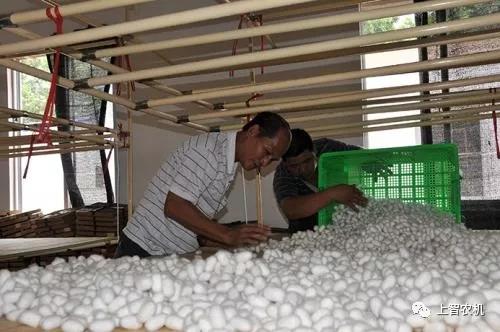 151978289348341695.jpg 微信图片_20180228095212.jpg