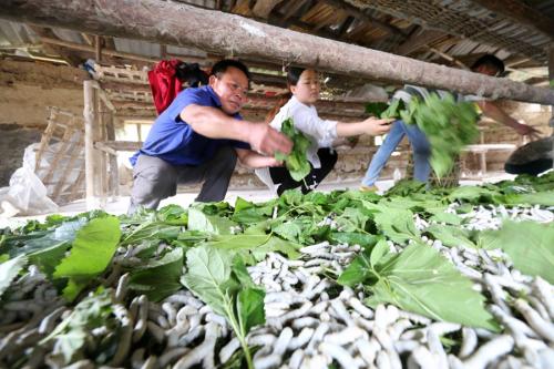 151987160558840023.jpg u=3548651208,511590238&fm=27&gp=0.jpg