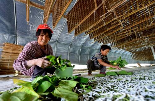 152117114233736564.jpg u=771392492,802439293&fm=27&gp=0.jpg