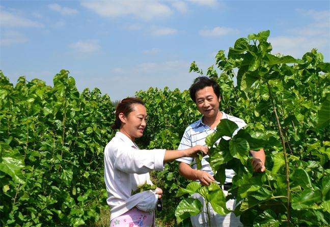 152168654750682540.jpg 152168654750682540.jpg