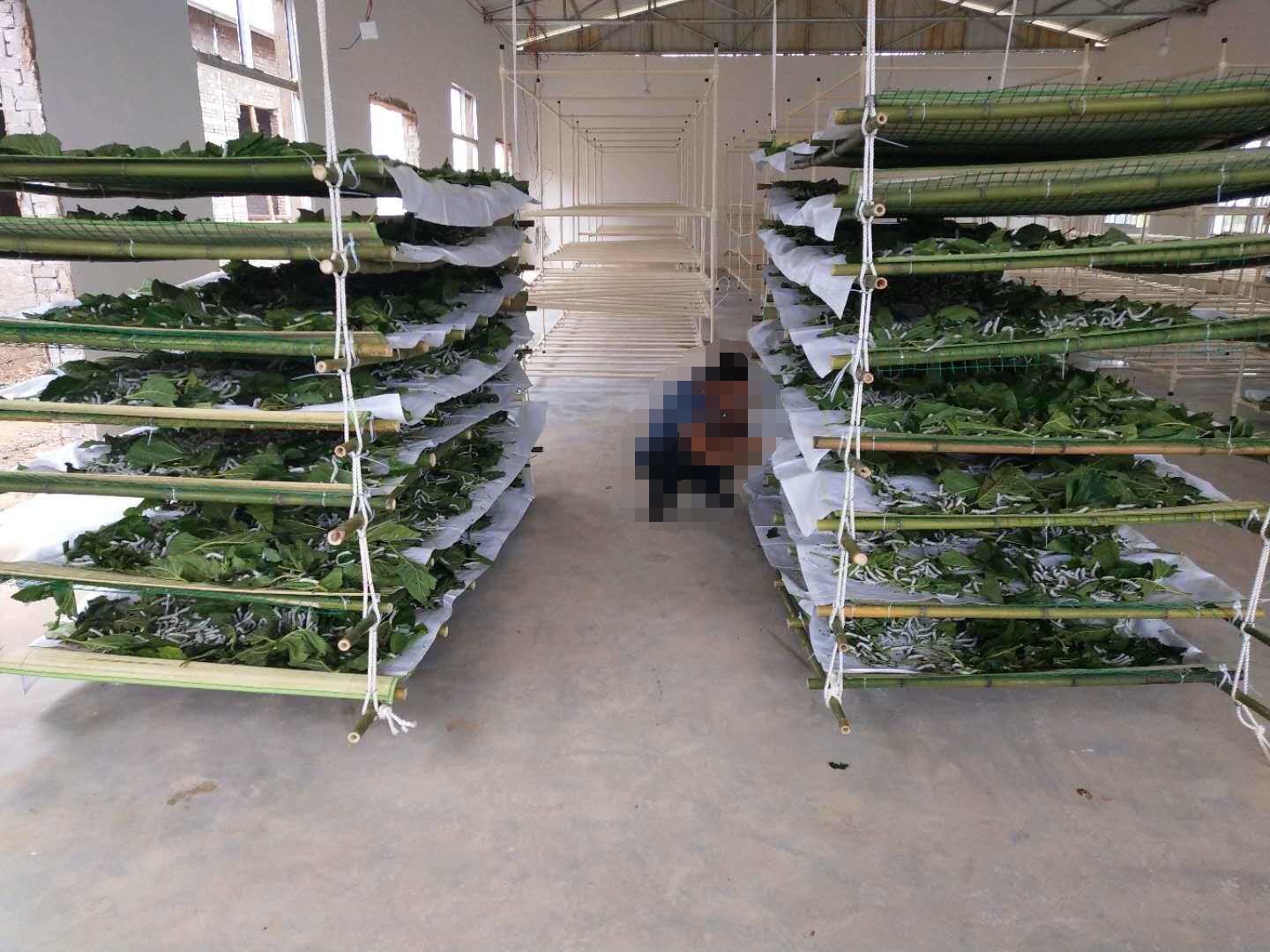 154233267069845989.jpg 154233267069845989.jpg